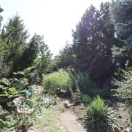Dom na sprzedaż